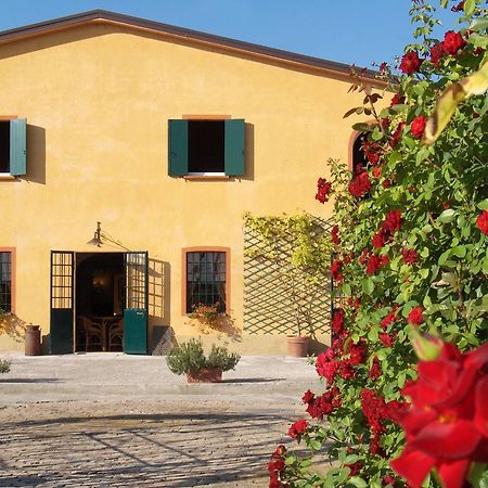 Agriturismo Le Colombaie Busseto Bagian luar foto