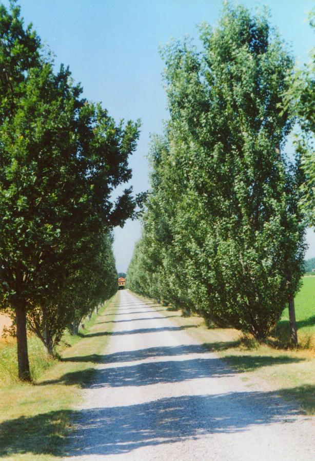 Agriturismo Le Colombaie Busseto Bagian luar foto
